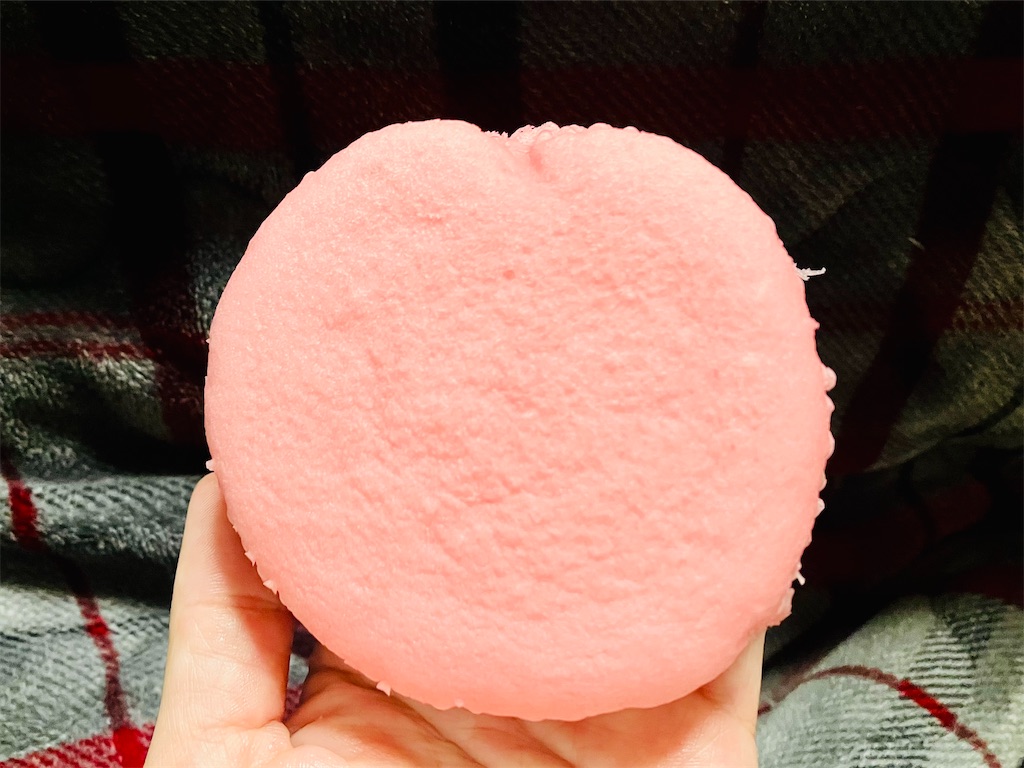 f:id:tsukushiiii:20260504104721j:image