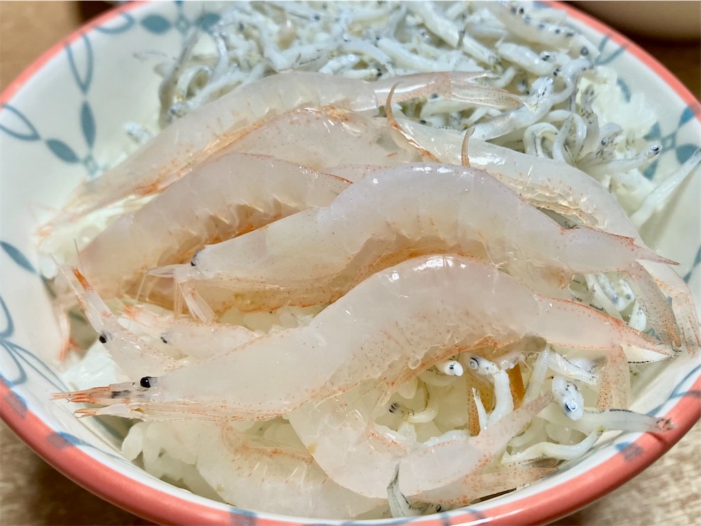f:id:tsukushiiii:20260505202205j:image f:id:tsukushiiii:20260505202205j:image