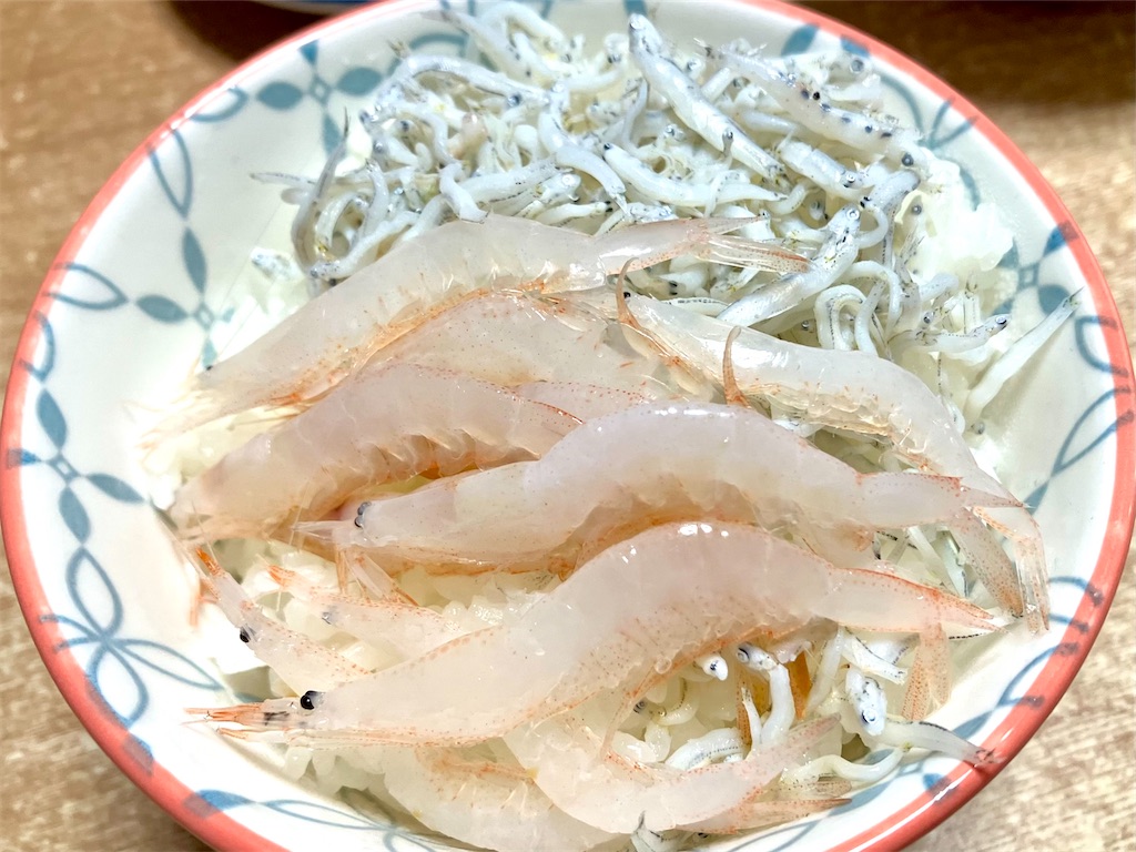f:id:tsukushiiii:20260505202222j:image f:id:tsukushiiii:20260505202222j:image