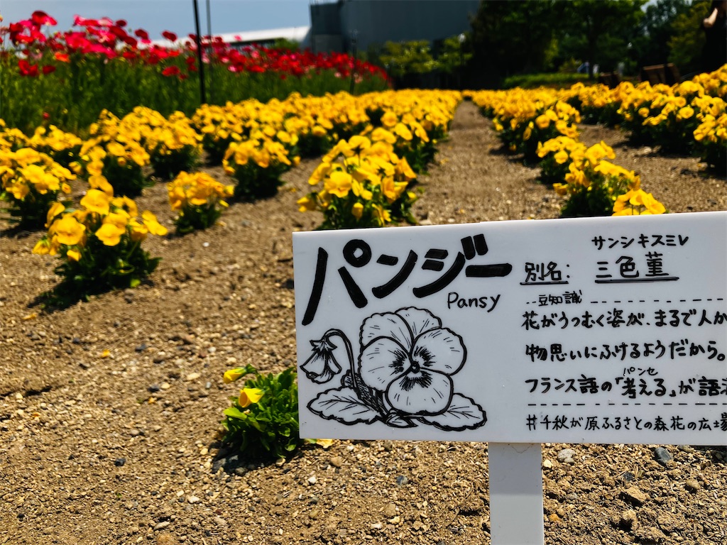 f:id:tsukushiiii:20260517213839j:image f:id:tsukushiiii:20260517213839j:image
