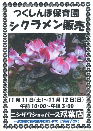 シクラメン販売のポスター