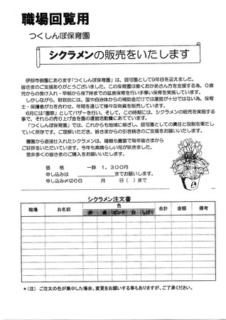 シクラメン販売チラシ