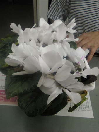 20070606172734