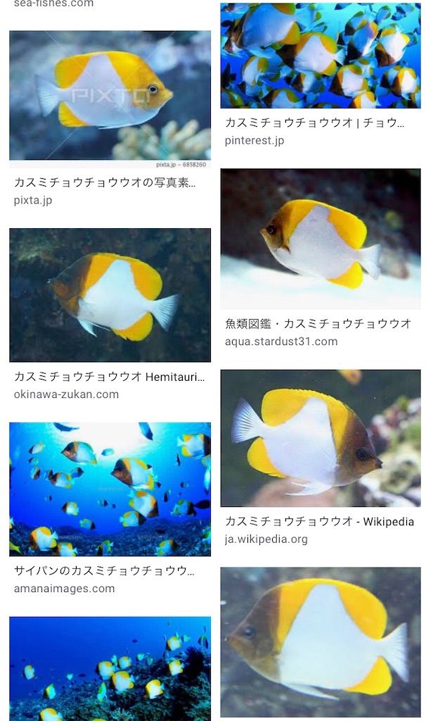 f:id:tsukusino35:20200909165806j:image f:id:tsukusino35:20200909165806j:image