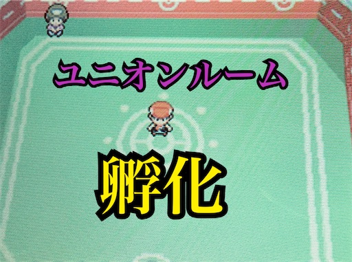 ユニオンルームで卵は孵るのか!?