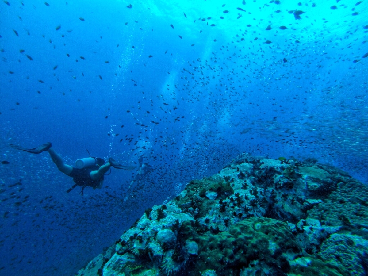 f:id:tsukuversity:20200503203515j:plain f:id:tsukuversity:20200503203515j:plain