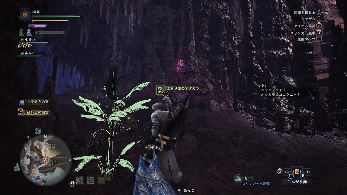 Mhw I 大蟻塚の荒地のオタカラの場所 つきぽゲーム攻略メモ