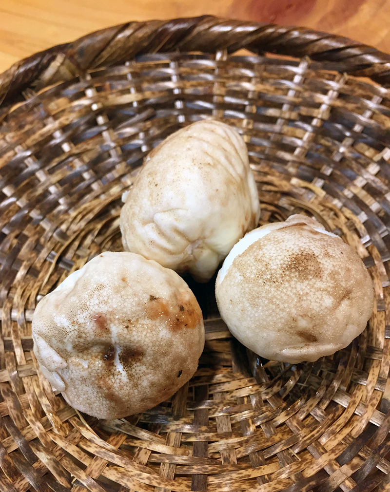 f:id:tsukuyomi_osukuni:20191017191626j:plain