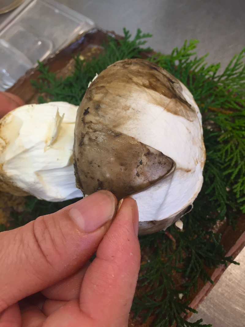 f:id:tsukuyomi_osukuni:20201021213739j:plain