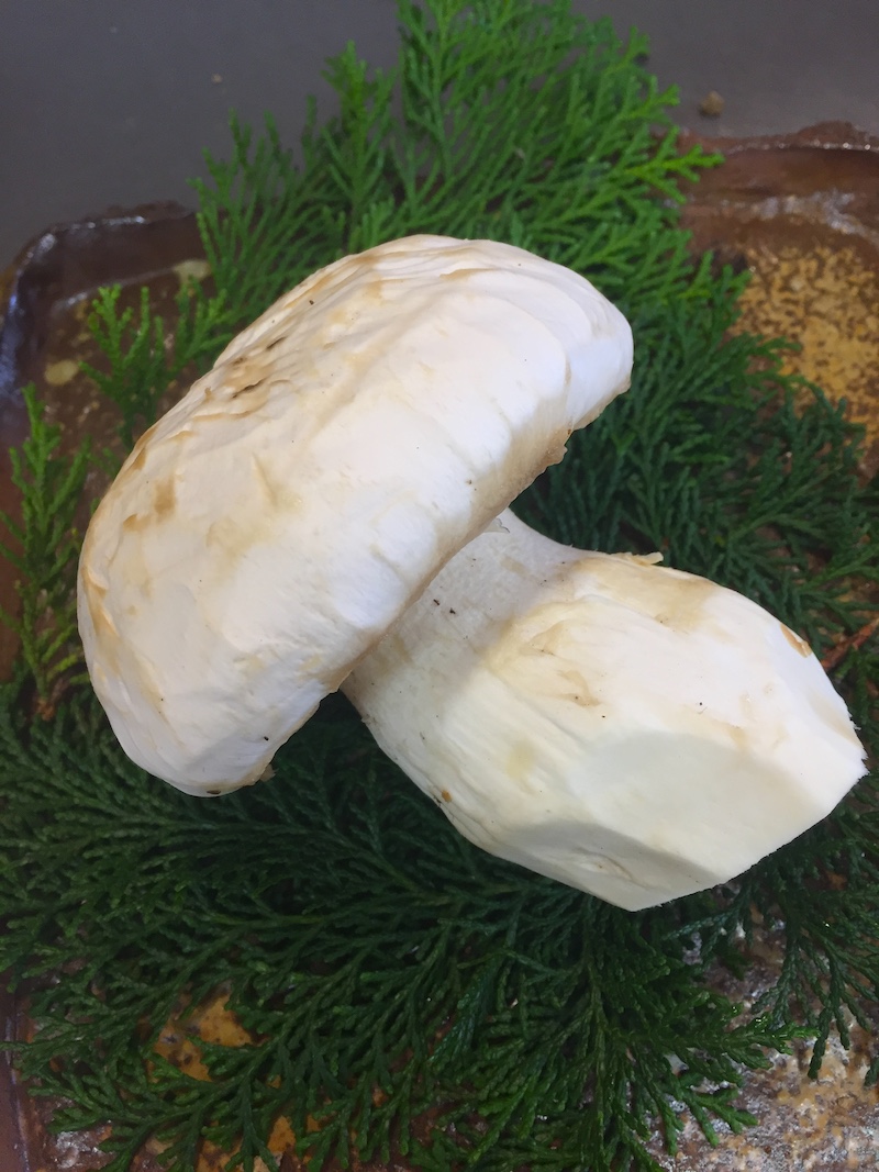 f:id:tsukuyomi_osukuni:20201021213742j:plain