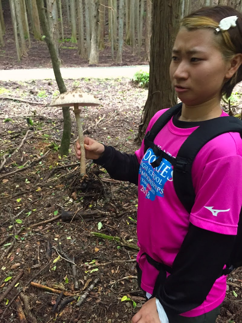 f:id:tsukuyomi_osukuni:20211013110941j:plain