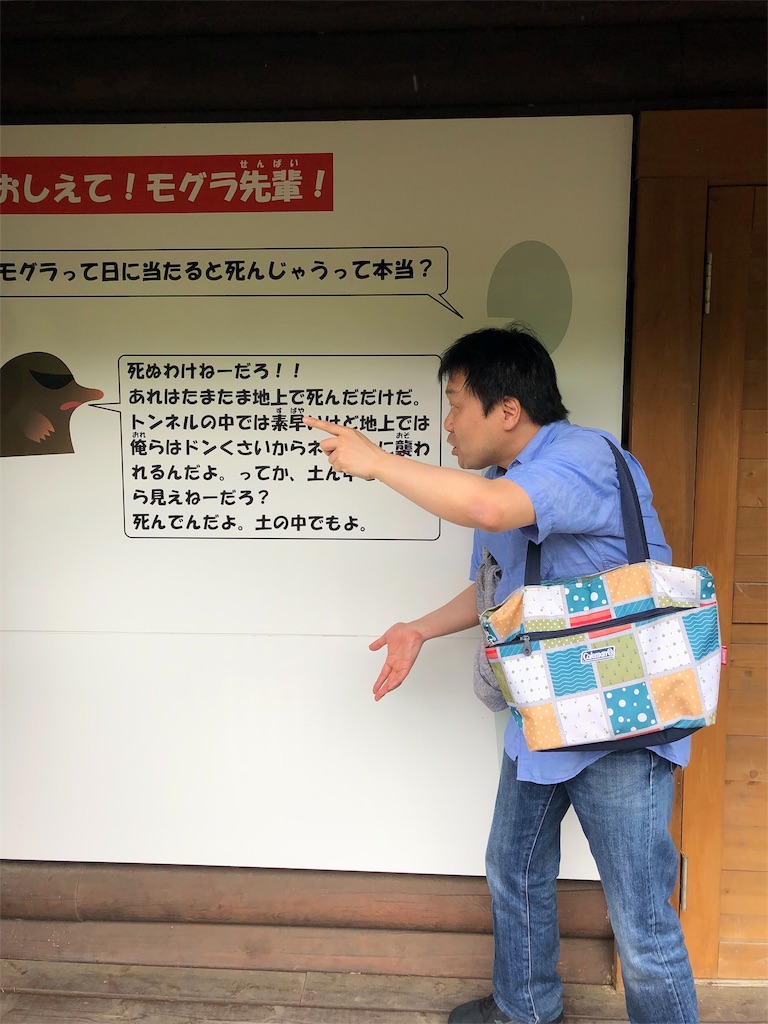 多摩動物公園のモグラ キレ過ぎワロタ つらゆきの沼