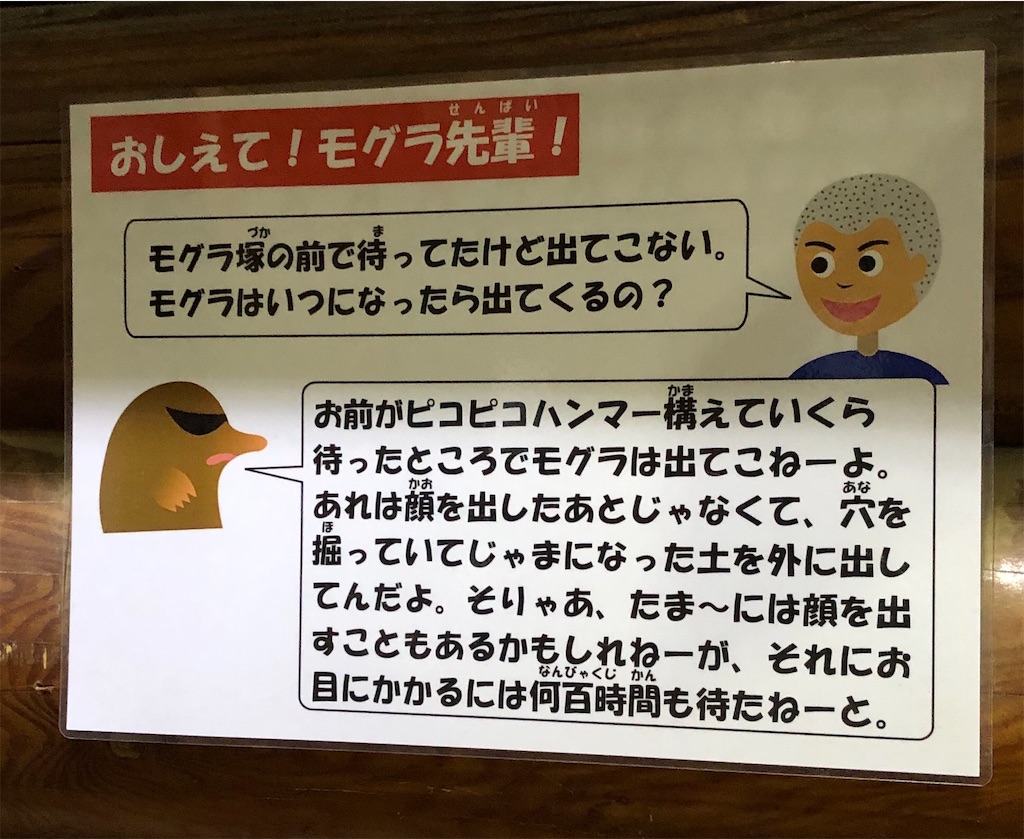 多摩動物公園のモグラ キレ過ぎワロタ Tsulayukiの沼 魔界