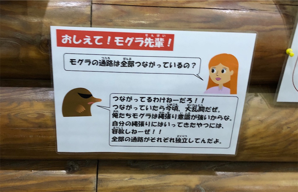 多摩動物公園のモグラ キレ過ぎワロタ Tsulayukiの浮沼