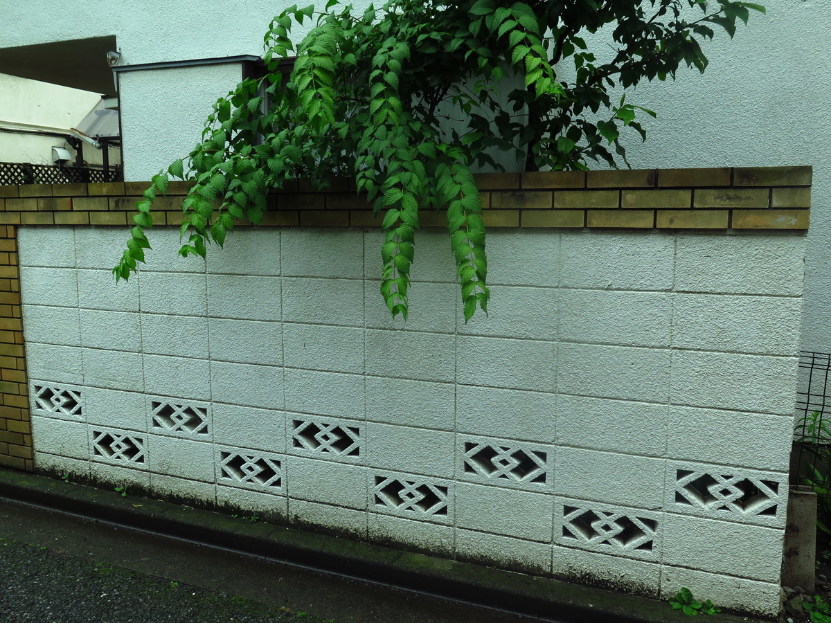 f:id:tsumakazu:20190713012912j:plain f:id:tsumakazu:20190713012912j:plain