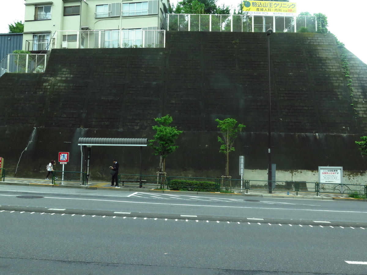 f:id:tsumakazu:20190713013119j:plain f:id:tsumakazu:20190713013119j:plain