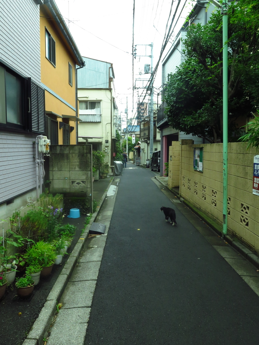 f:id:tsumakazu:20190713013223j:plain f:id:tsumakazu:20190713013223j:plain