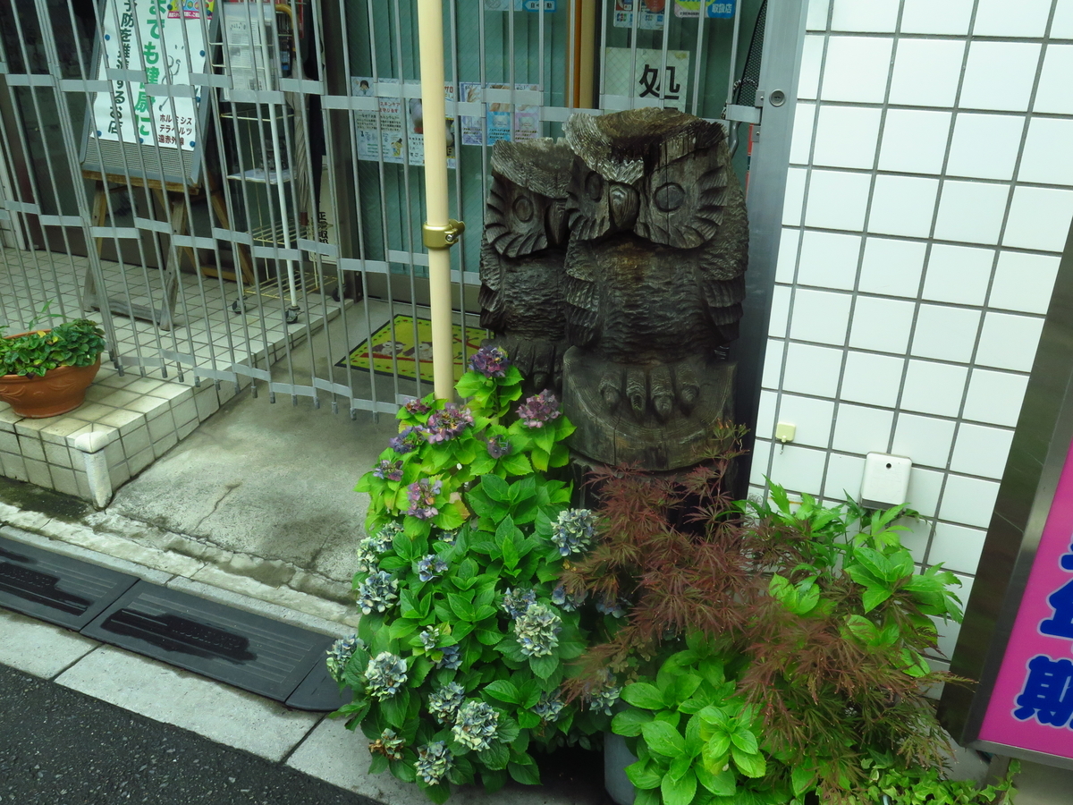 f:id:tsumakazu:20190713013248j:plain f:id:tsumakazu:20190713013248j:plain