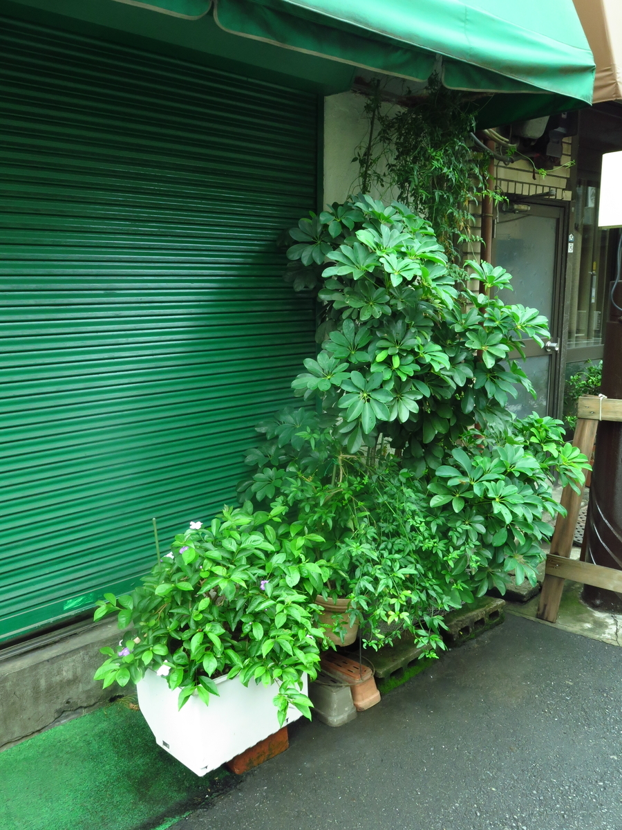 f:id:tsumakazu:20190713013343j:plain f:id:tsumakazu:20190713013343j:plain