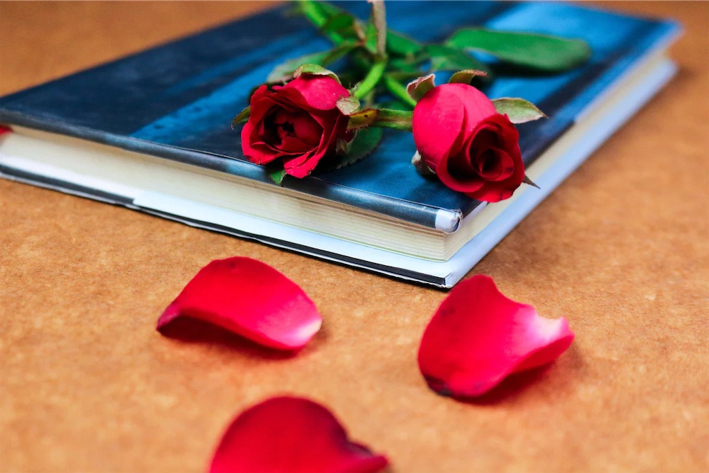 f:id:tsumasaki47:20201206194355j:image