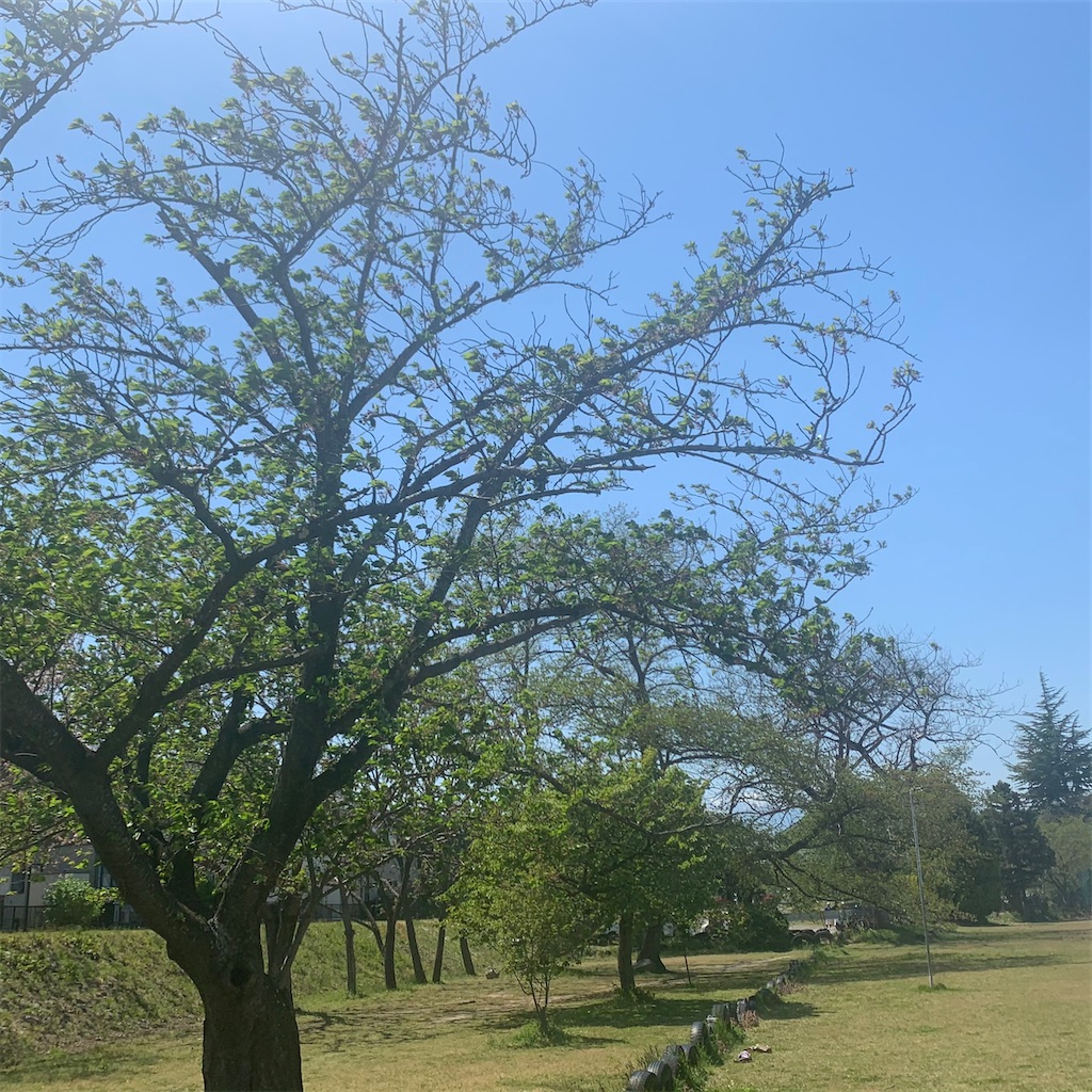 f:id:tsumecare_hitomi:20210421212100j:image f:id:tsumecare_hitomi:20210421212100j:image