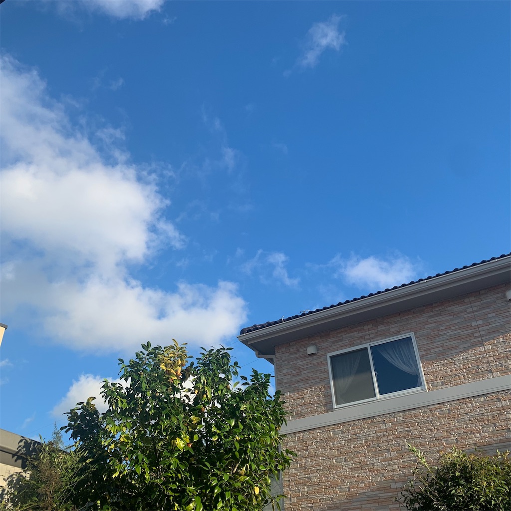 f:id:tsumecare_hitomi:20210806173043j:image