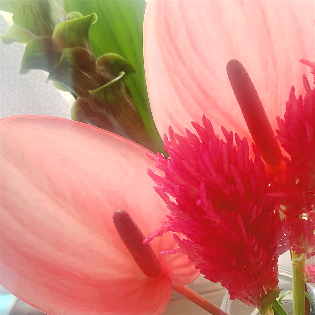 f:id:tsumecare_hitomi:20220712222814j:image