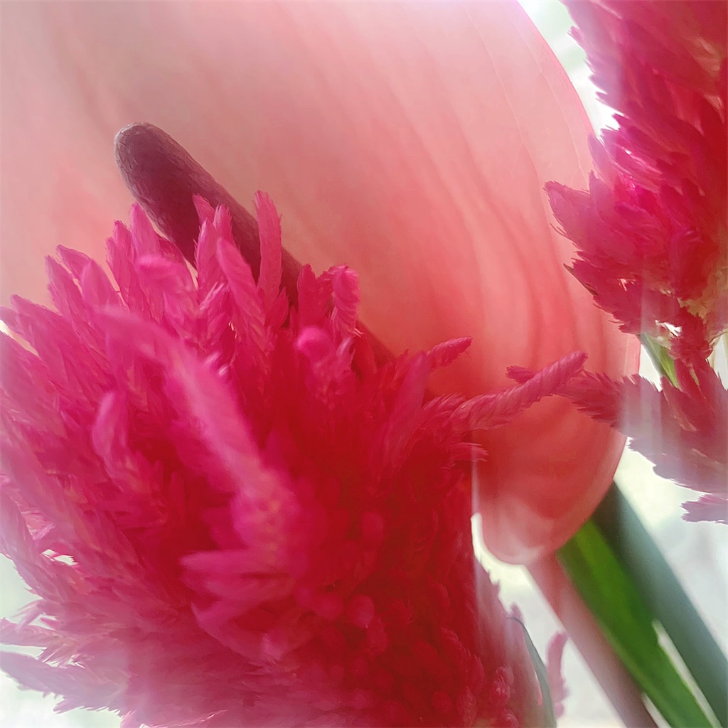 f:id:tsumecare_hitomi:20220712222817j:image