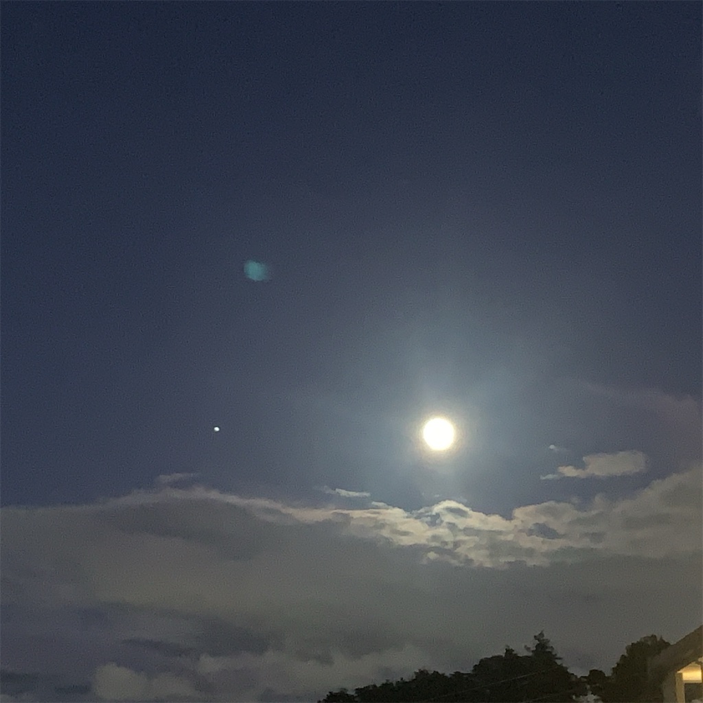 f:id:tsumecare_hitomi:20221008201151j:image f:id:tsumecare_hitomi:20221008201151j:image