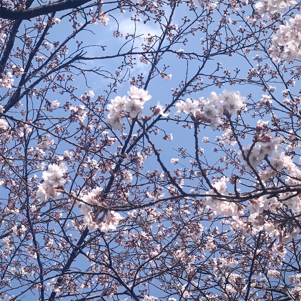 f:id:tsumecare_hitomi:20230401004222j:image