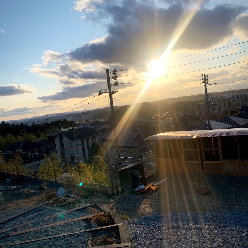 f:id:tsumecare_hitomi:20240203230748j:image