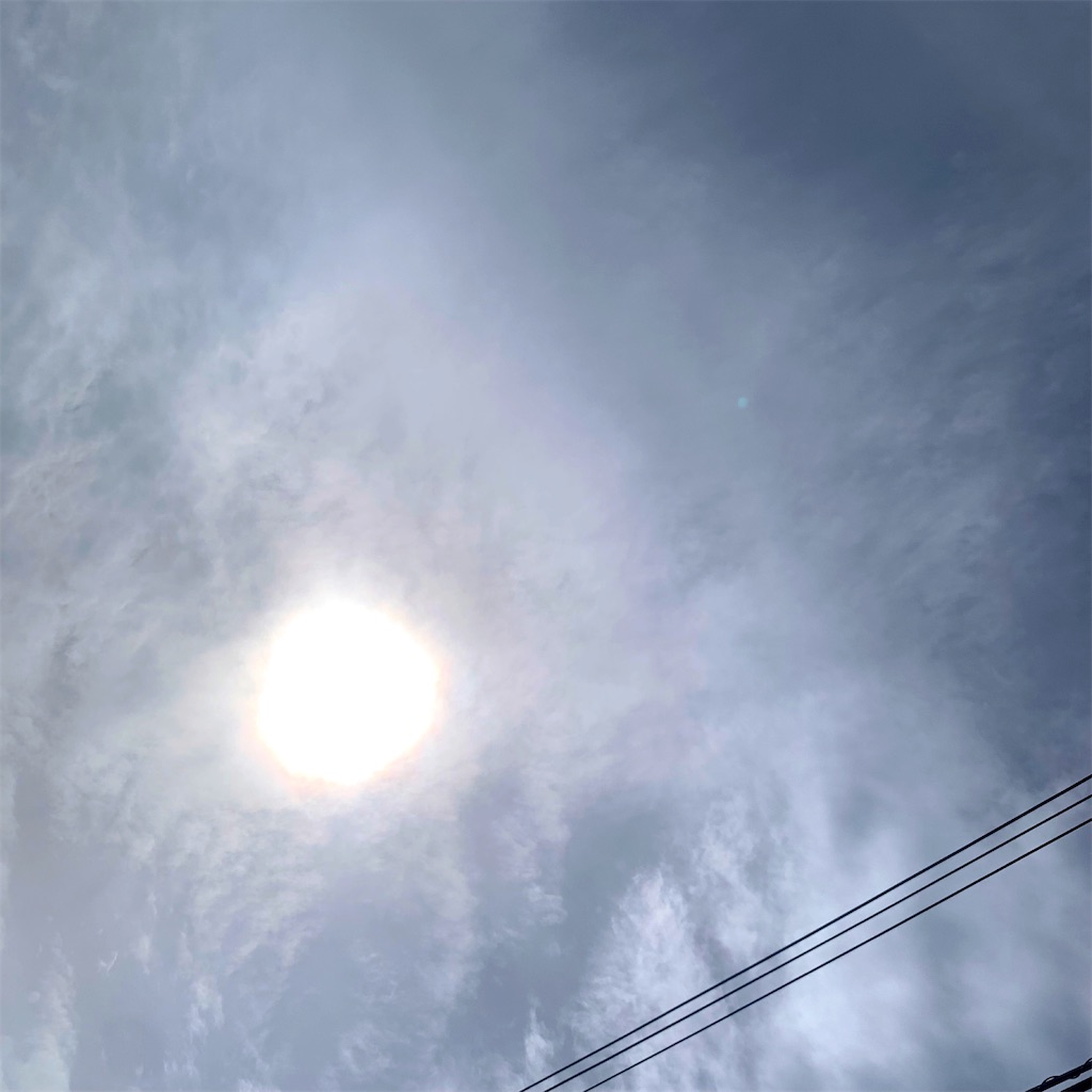 f:id:tsumecare_hitomi:20240519231109j:image
