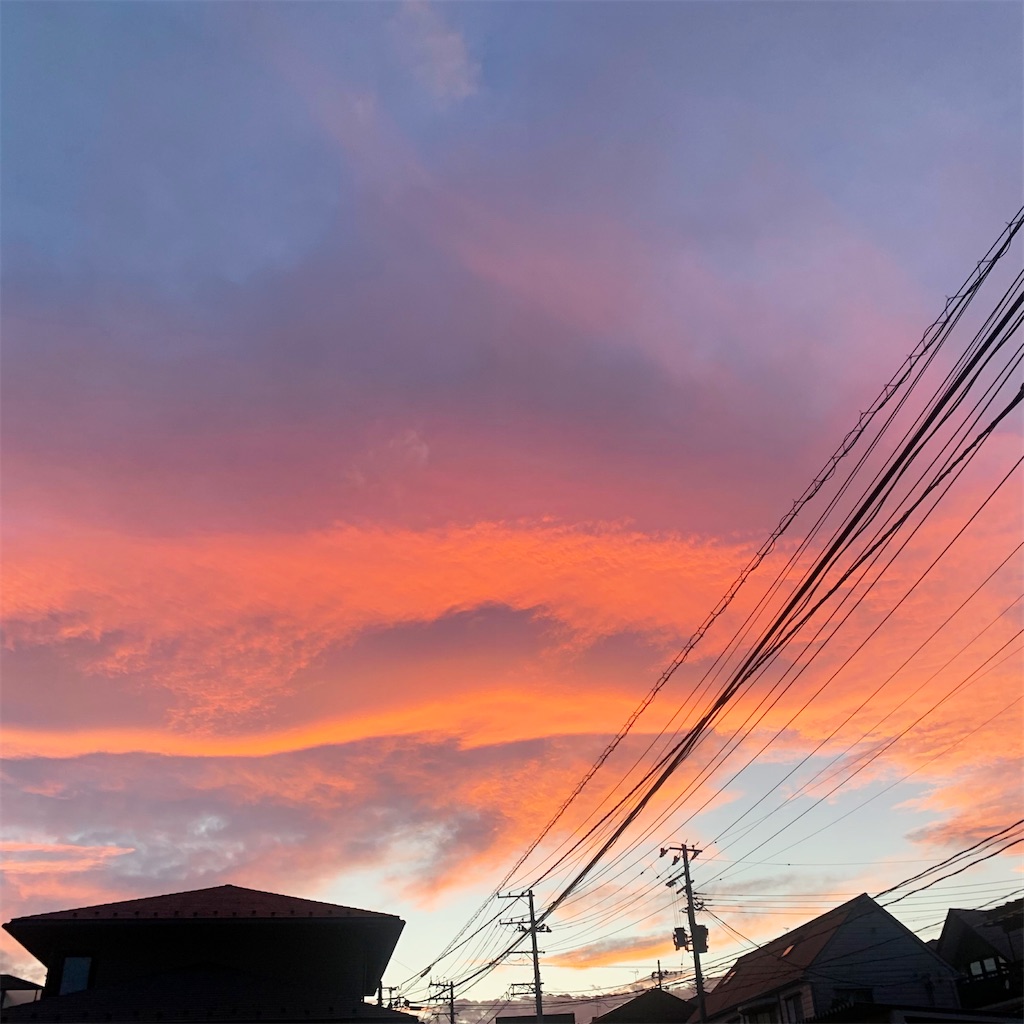 f:id:tsumecare_hitomi:20240729215913j:image