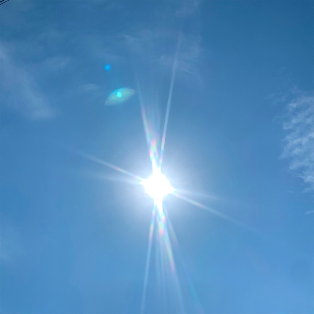 f:id:tsumecare_hitomi:20241002225245j:image