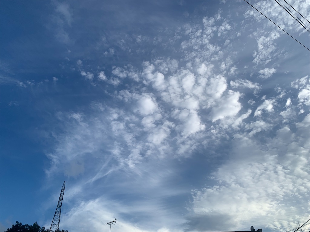 f:id:tsumecare_hitomi:20250812143342j:image