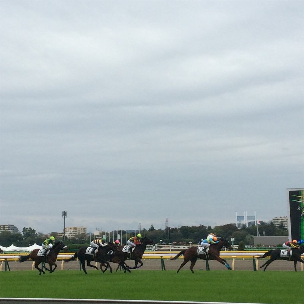 f:id:tsumetaimizuburo:20161030215311j:image f:id:tsumetaimizuburo:20161030215311j:image