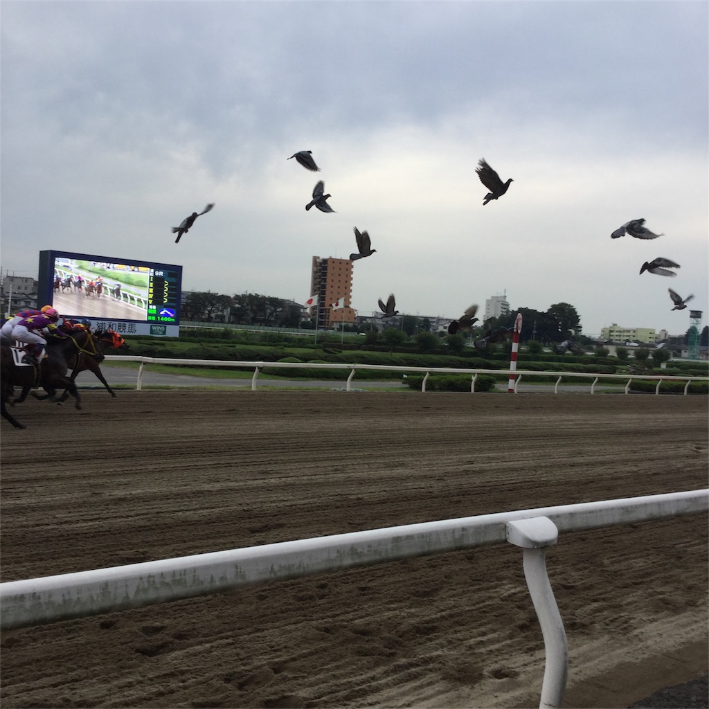 f:id:tsumetaimizuburo:20170920234848j:image f:id:tsumetaimizuburo:20170920234848j:image