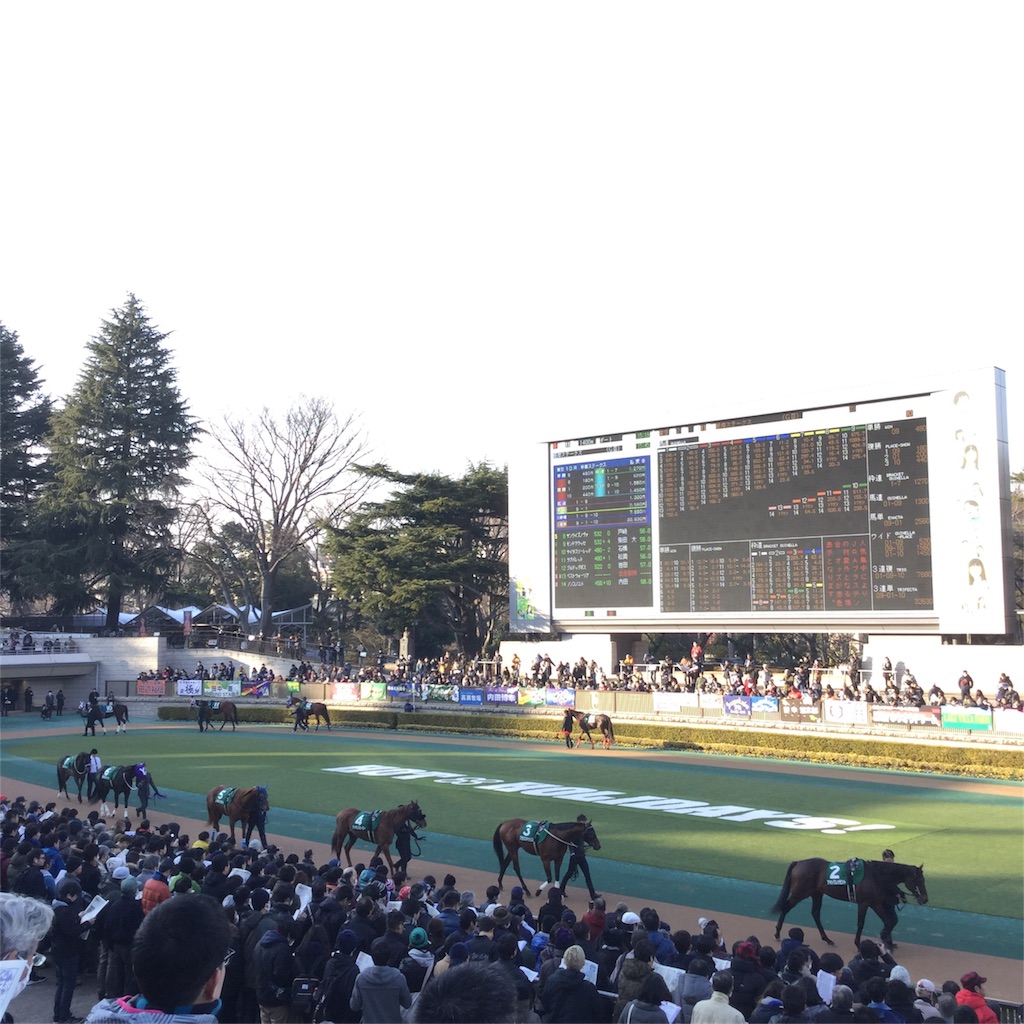 f:id:tsumetaimizuburo:20180128221333j:image f:id:tsumetaimizuburo:20180128221333j:image
