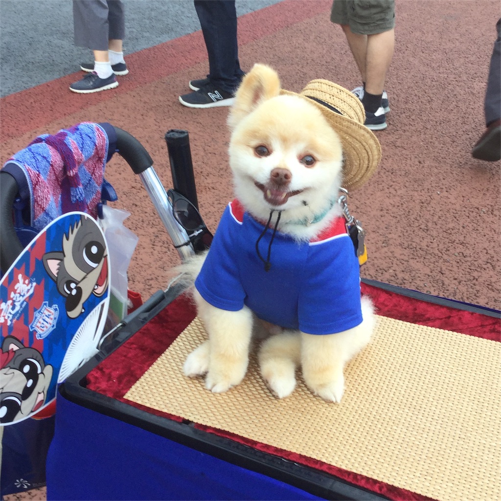 f:id:tsumetaimizuburo:20180716231352j:image