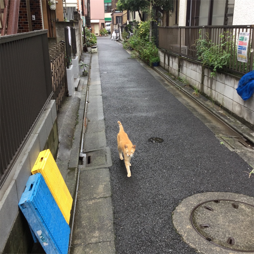 f:id:tsumetaimizuburo:20180915142757j:image