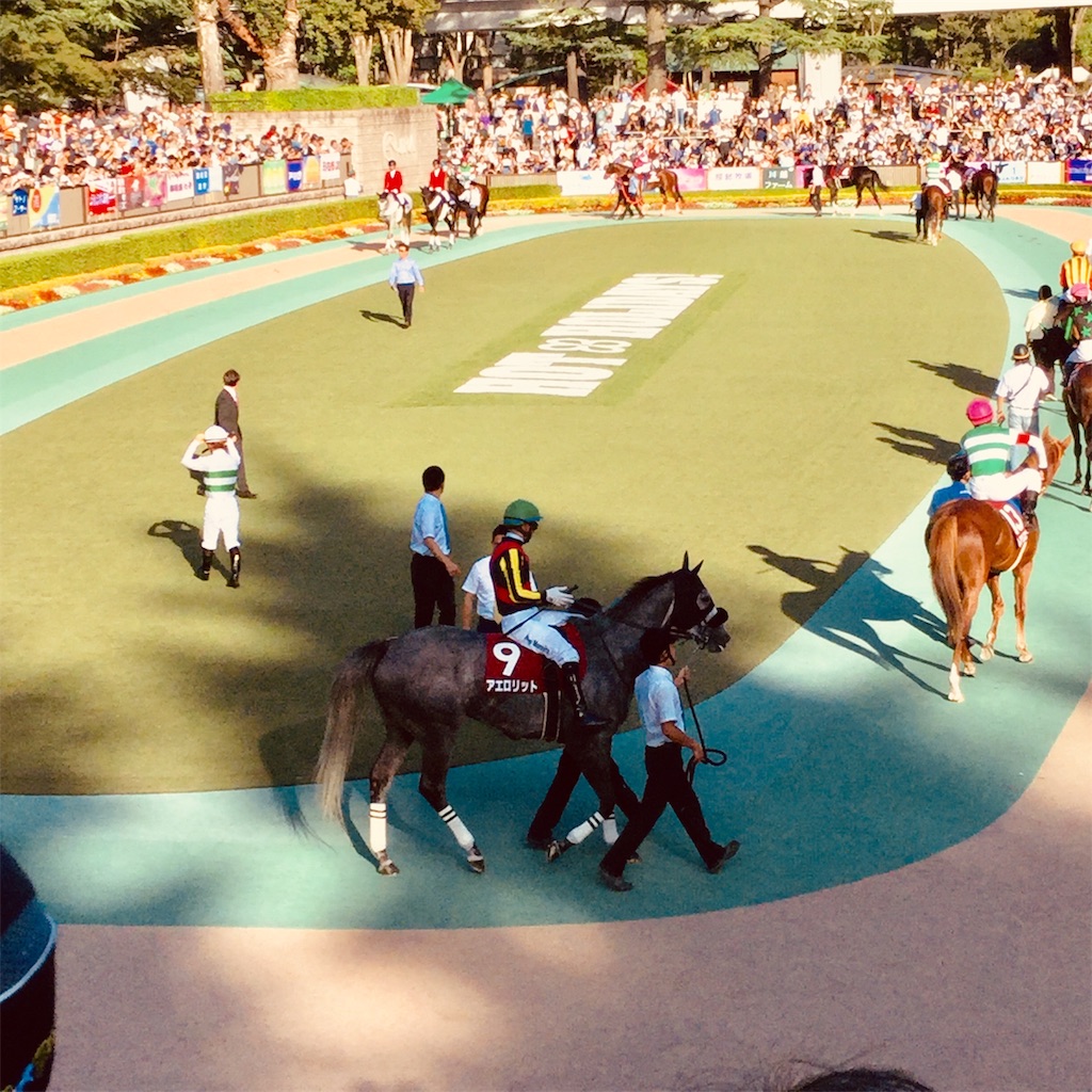 f:id:tsumetaimizuburo:20181007213526j:image f:id:tsumetaimizuburo:20181007213526j:image