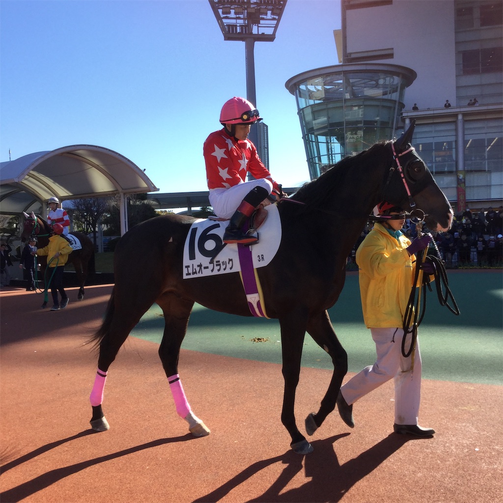 f:id:tsumetaimizuburo:20181229201326j:image