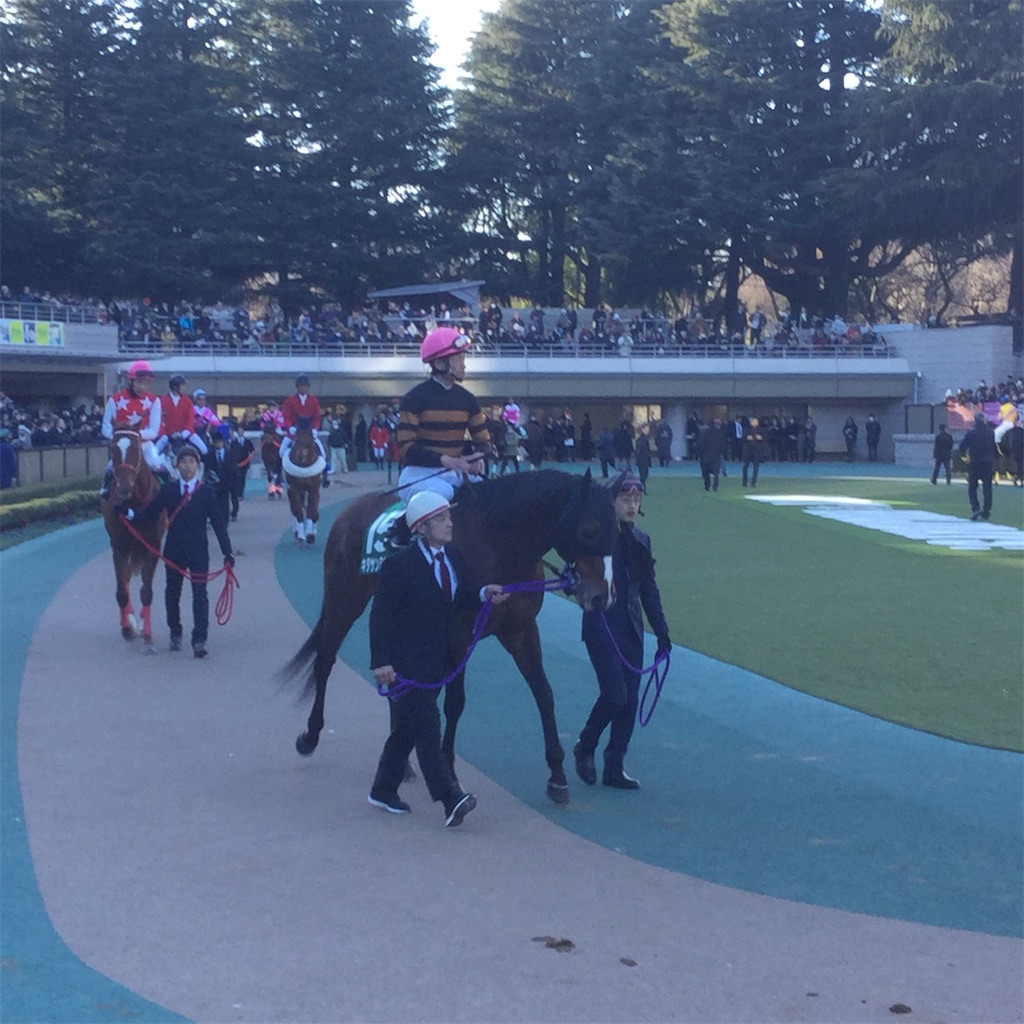 f:id:tsumetaimizuburo:20190128001120j:image f:id:tsumetaimizuburo:20190128001120j:image