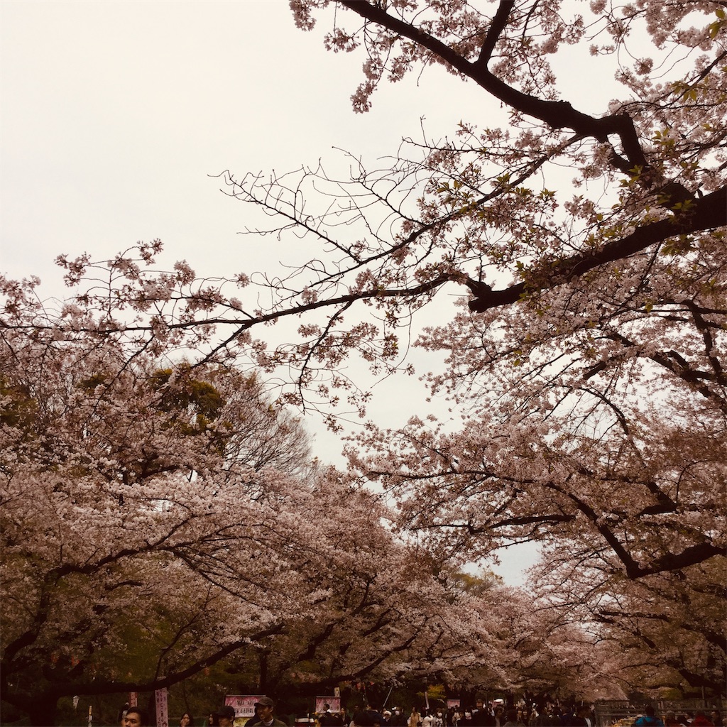 f:id:tsumetaimizuburo:20190408230251j:image f:id:tsumetaimizuburo:20190408230251j:image