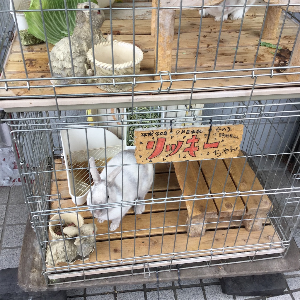 f:id:tsumetaimizuburo:20190430182451j:image