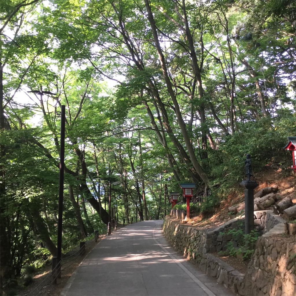 f:id:tsumetaimizuburo:20190513213711j:image