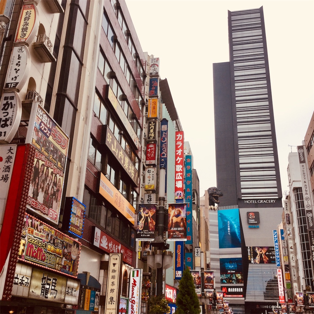 f:id:tsumetaimizuburo:20190618224834j:image