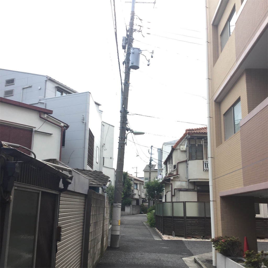f:id:tsumetaimizuburo:20190621234556j:image
