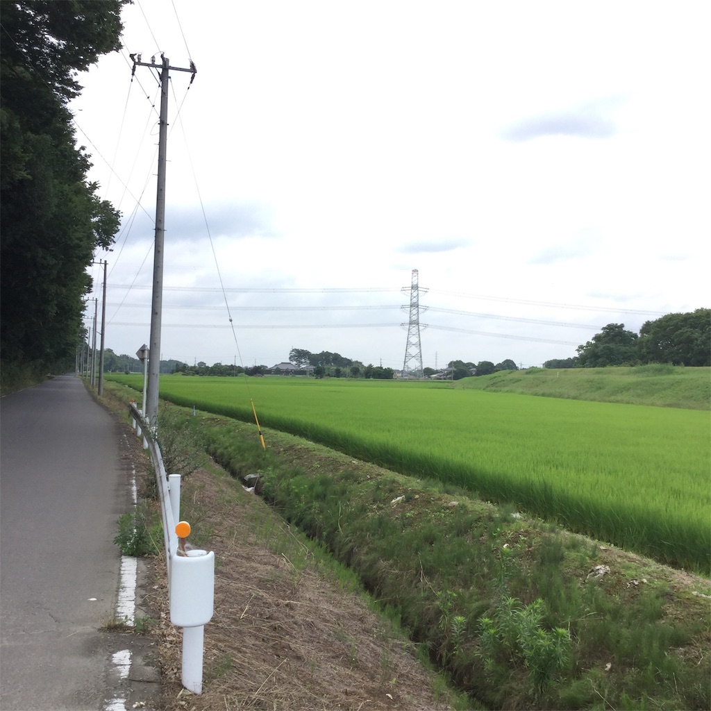 f:id:tsumetaimizuburo:20190712000700j:image f:id:tsumetaimizuburo:20190712000700j:image