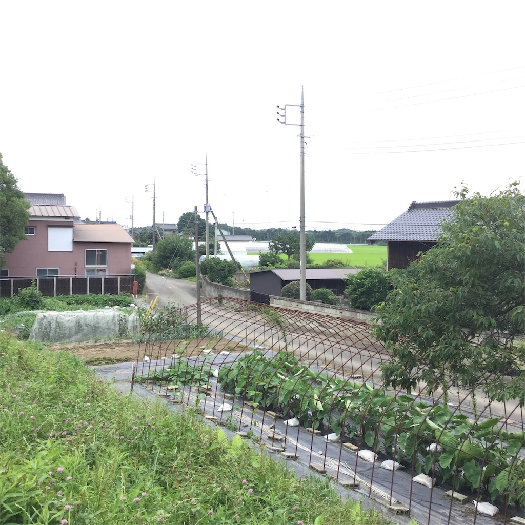 f:id:tsumetaimizuburo:20190712001017j:image f:id:tsumetaimizuburo:20190712001017j:image